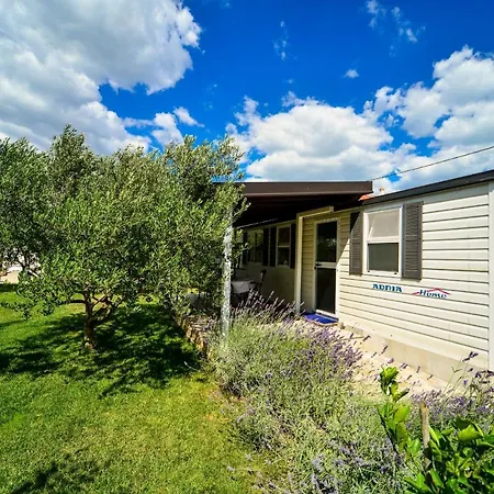 Family-friendly With Swimming Pool Biograd Na Moru, Biograd - 8371 Apartamento Biograd Na Moru