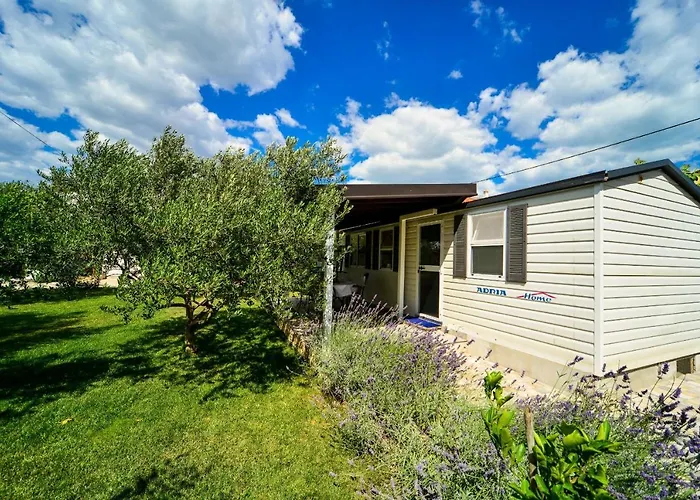 Family-friendly With Swimming Pool Biograd Na Moru, Biograd - 8371 Daire Biograd Na Moru