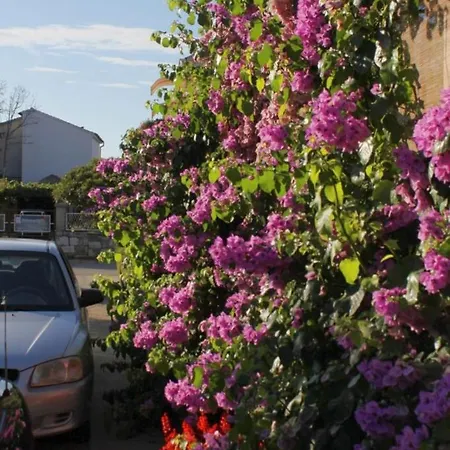 Apartment Family-friendly With Swimming Pool Biograd Na Moru, Biograd - 8371 Biograd Na Moru